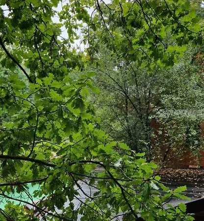 Utopia - Art & Nature Hotel