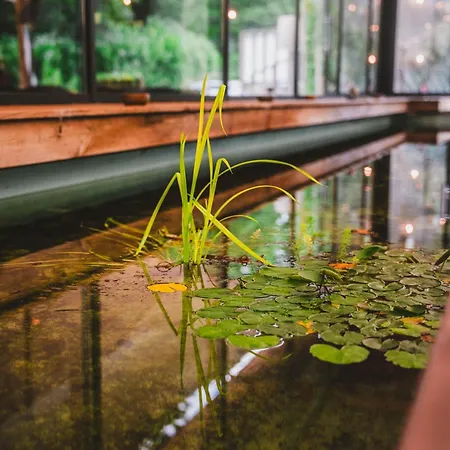 酒店 Utopia - Art & Nature