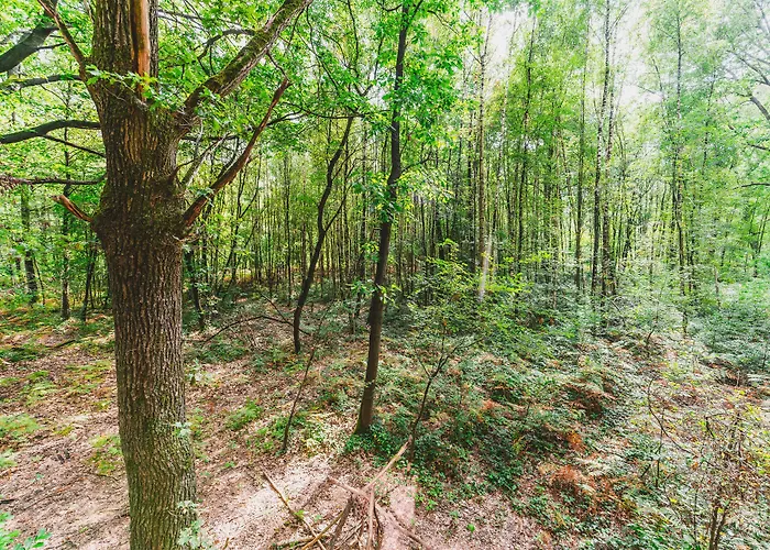 Utopia - Art & Nature